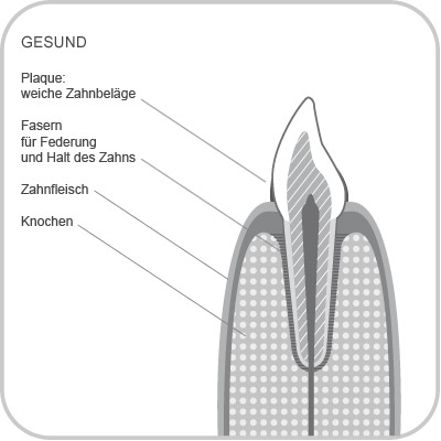 Gesund